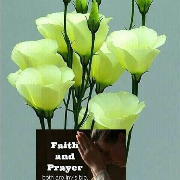 Meet your Posher, Lucinda - Picture 1 of 1